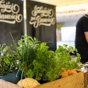 Šuhajíci na panvici - 57107306_2905284229512198_4127373596186116096_o